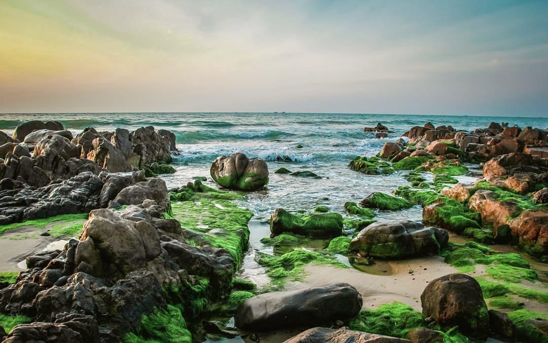 Co Thach Rock Beach (3)